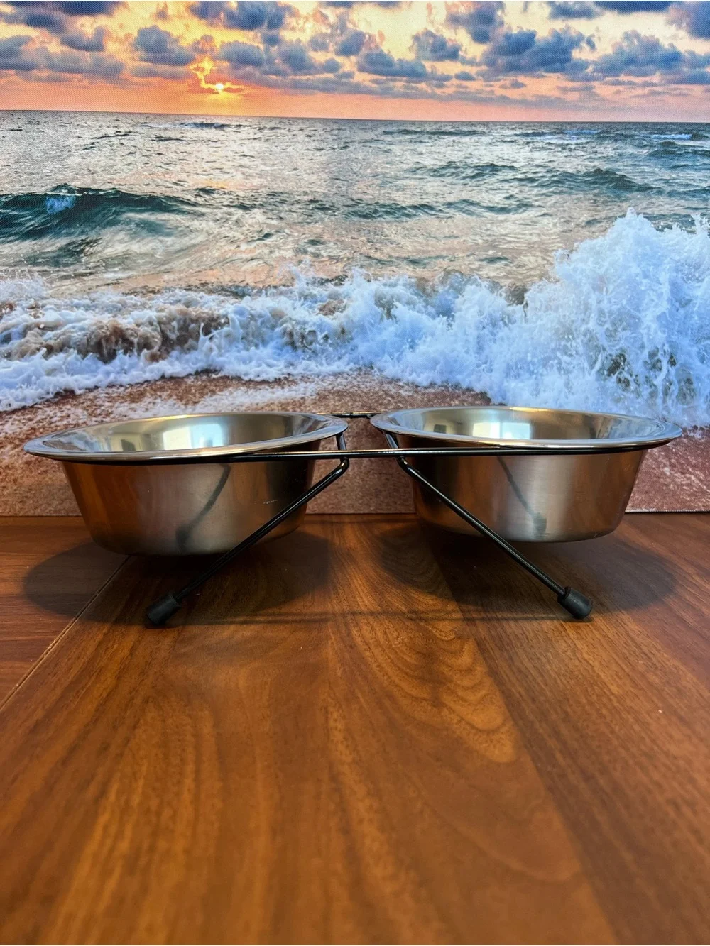 Double Stainless Steel Pet Bowl Set with Black Elevated Stand